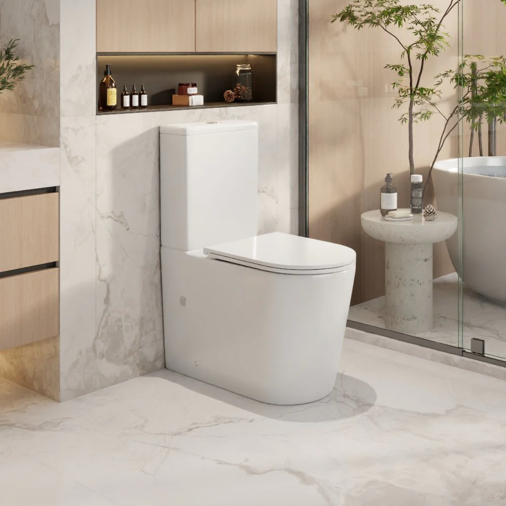 Back-to-Wall Toilets