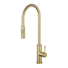 Round Brushed Brass Pull Out Kitchen Mixer