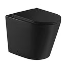 Zara Matt Black Floor Pan